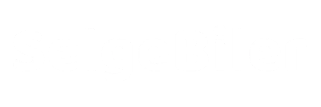 SelgeBiler.com